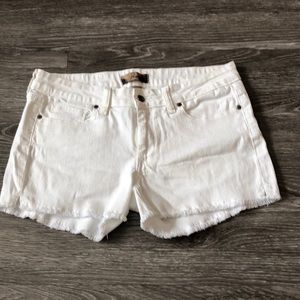 PAIGE denim shorts